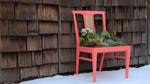 Succulent Chair Planter