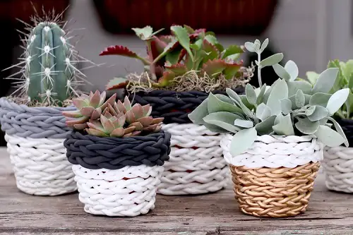 Clay Planters
