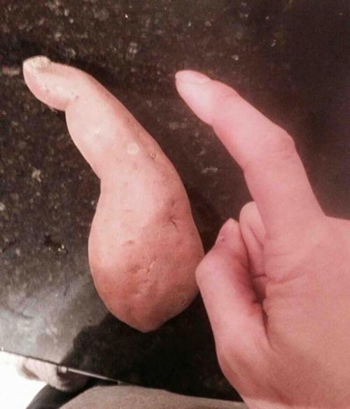 Finger-Shaped Potato