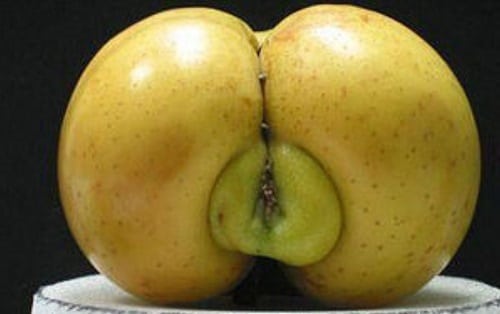 Butthole Fruit