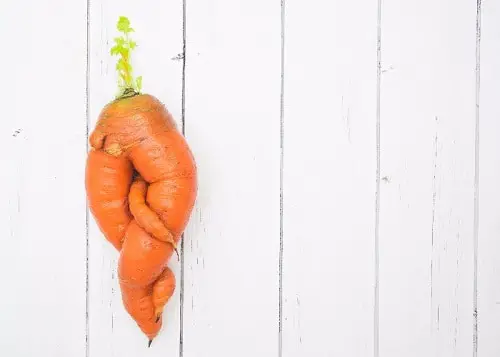 Carrots