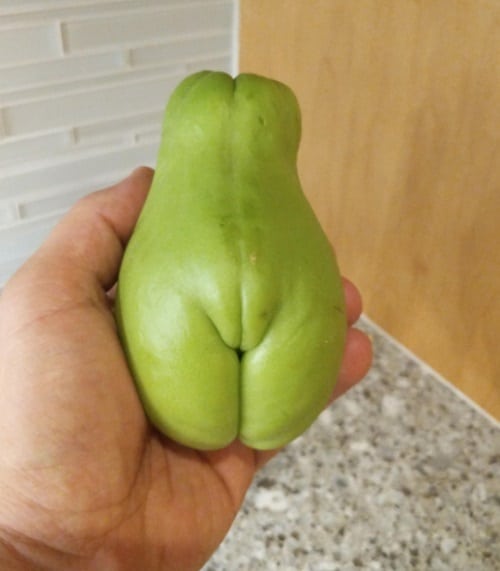 Chayote that Looks like a Woman's Torso