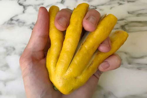 Fruits and Vegetables