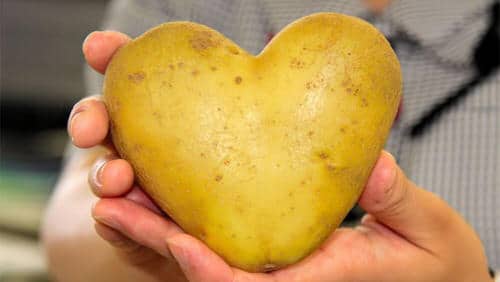 Romantic Potato in Shape of a Heart