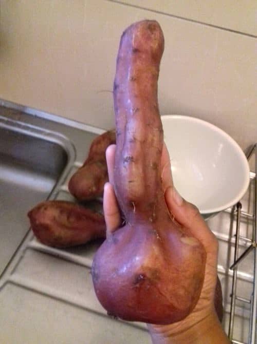 Vegetables That Looked Like Something Else