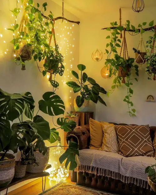 An Illuminated Corner with Trailing and Potted Plants