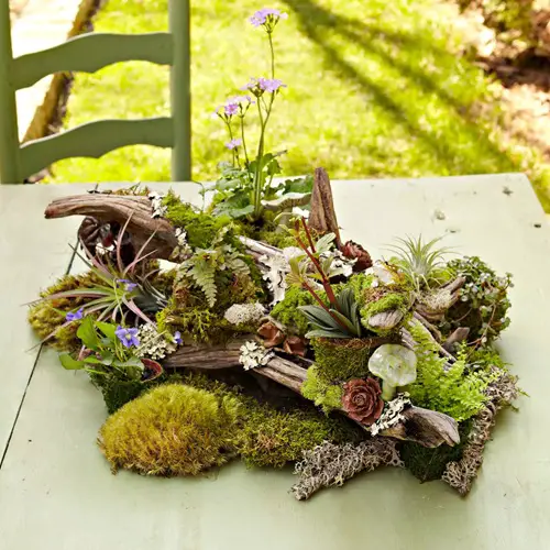 Tabletop Woodland Garden Idea