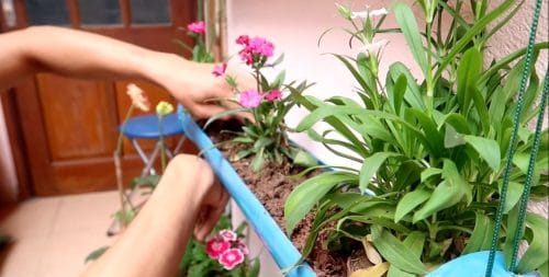Popular Garden DIYs on YouTube