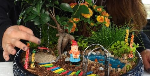 Popular Garden DIYs 