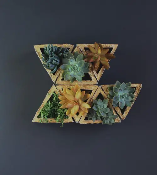 Wall Succulent Planters
