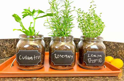 Beautiful DIY Indoor Plant Display Ideas