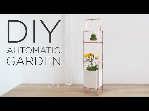 Beautiful DIY Indoor Plant Display Ideas