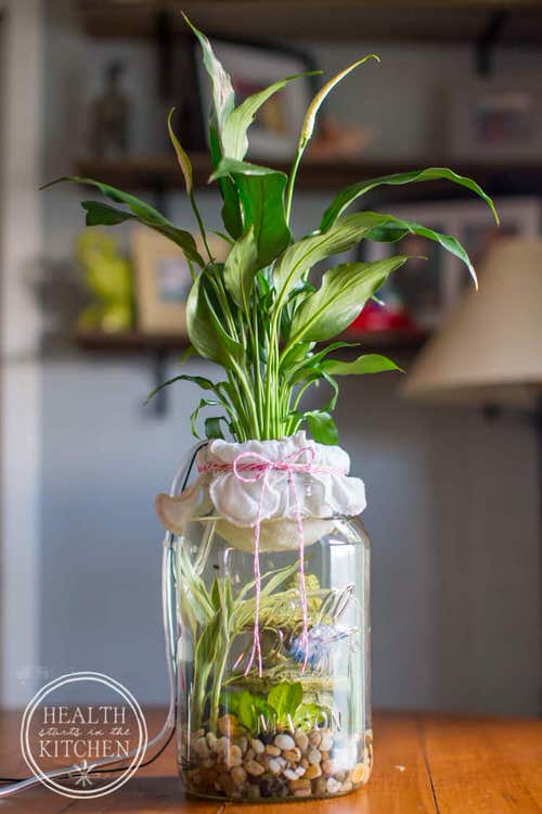 Beautiful DIY Indoor Plant Display Ideas