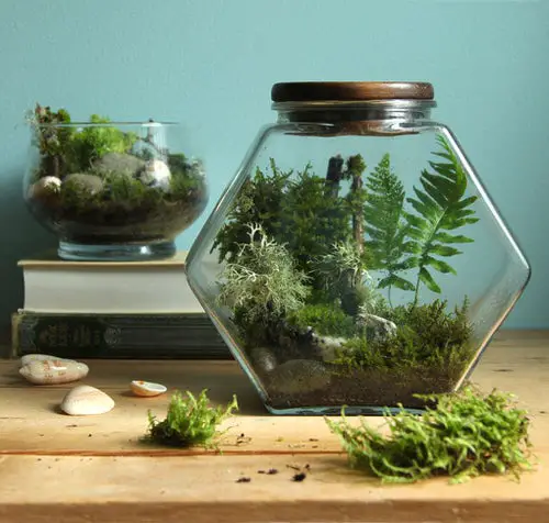 Beautiful DIY Indoor 