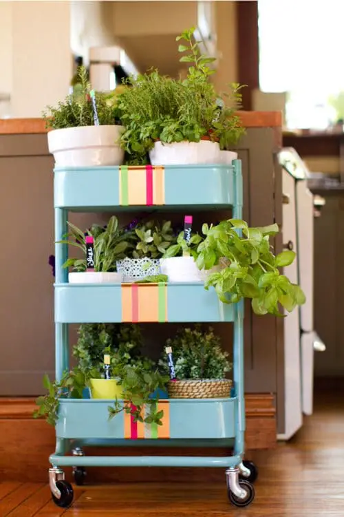 Beautiful DIY Indoor