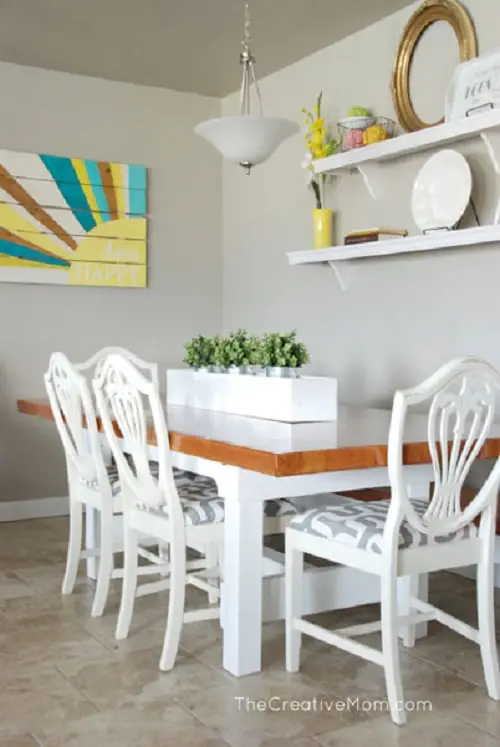 DIY Indoor Plant 