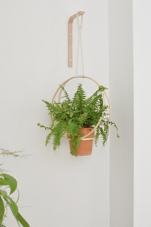 DIY Indoor Plant Display Ideas
