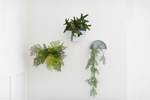 DIY Indoor Plant Display Ideas