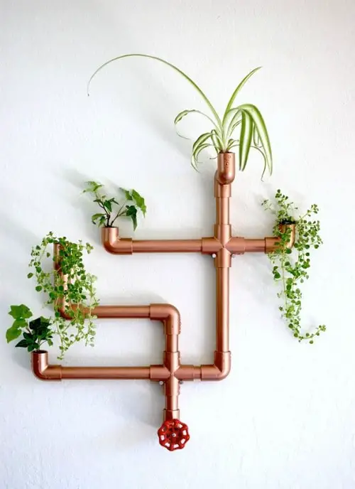 DIY Indoor Plant Display Ideas