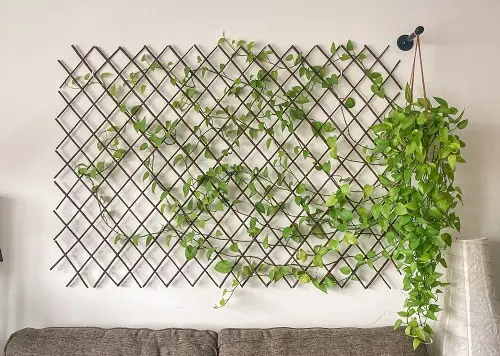 DIY Indoor Plant Display Ideas