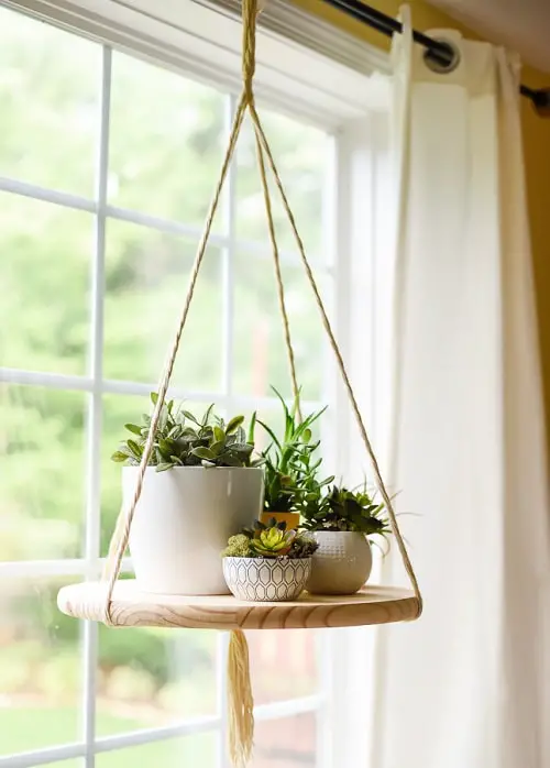 DIY Indoor Plant Display Ideas