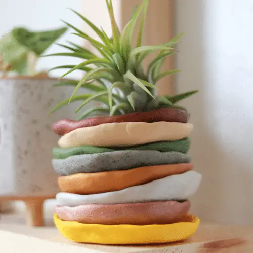Beautiful DIY Indoor Plant 