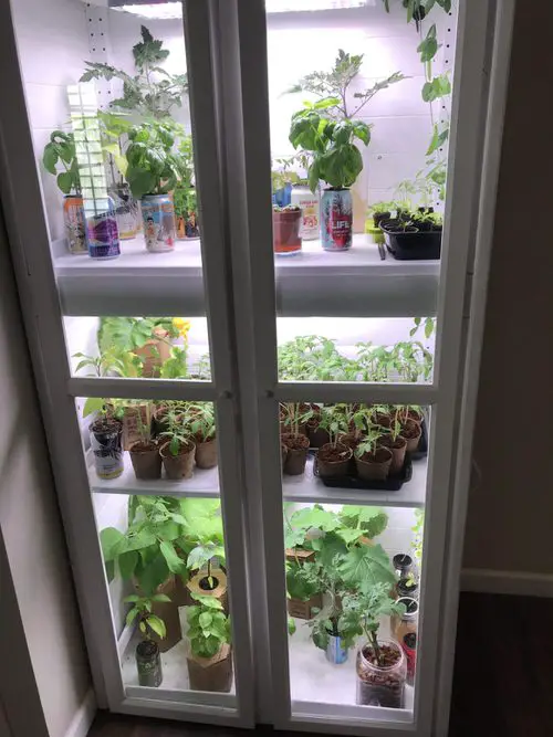 Creative DIYs to Turn Old Plant Cabinets into Plant Homes
