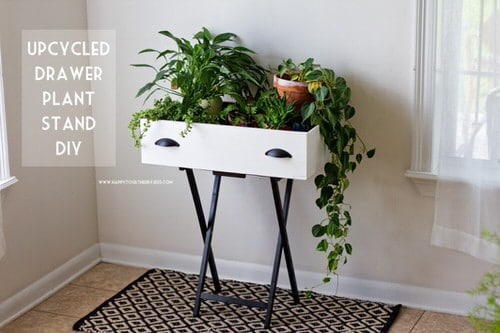 DIYs to Turn Old Plant Cabinets into Plant Homes