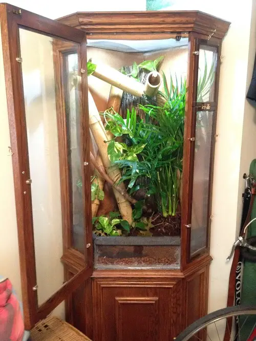 Old Plant Cabinets into Plant Homes