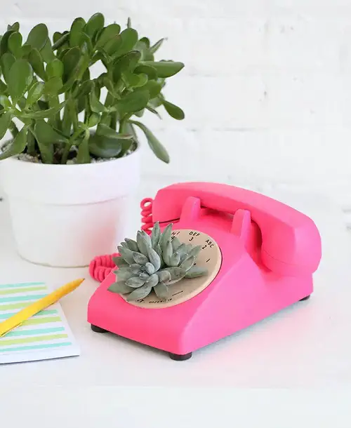 Phone Succulent Planter