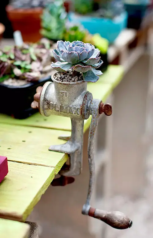Meat Grinder Planter