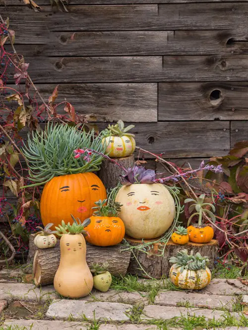 Pumpkin and Melon Planters