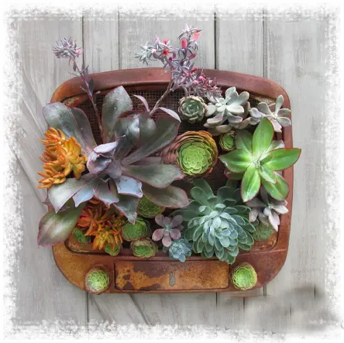 Vintage TV Planter