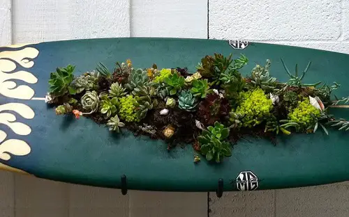 Surfboard Succulent Planter