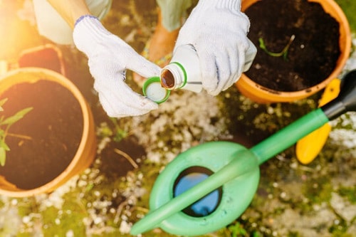 Things that'll Solve All Your Houseplant Problems