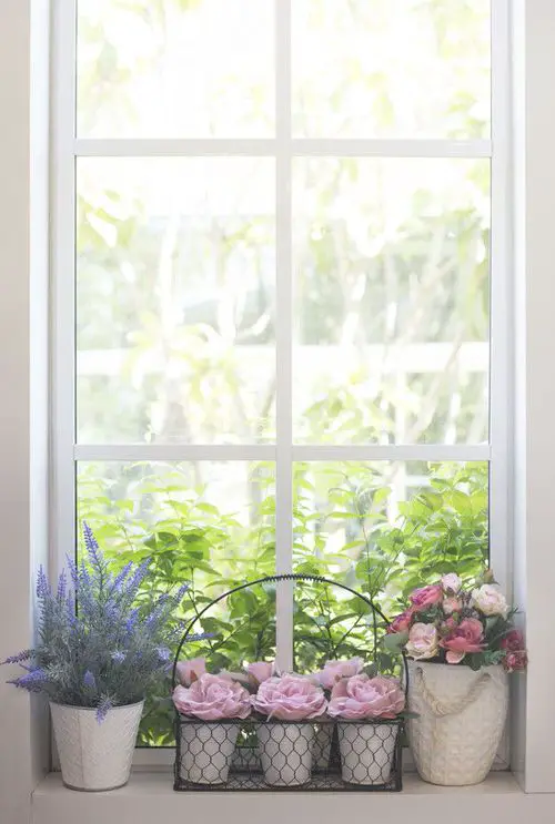 Window Garden Pictures 6