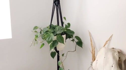 Wall Planter Macramé Ideas 8