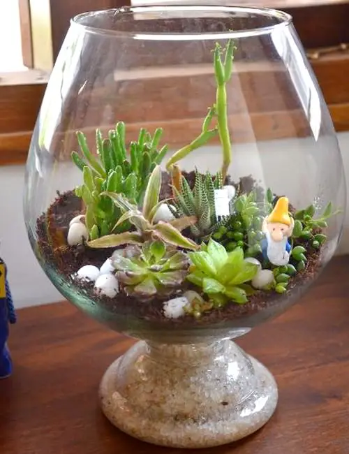 Wine Glass Terrariums