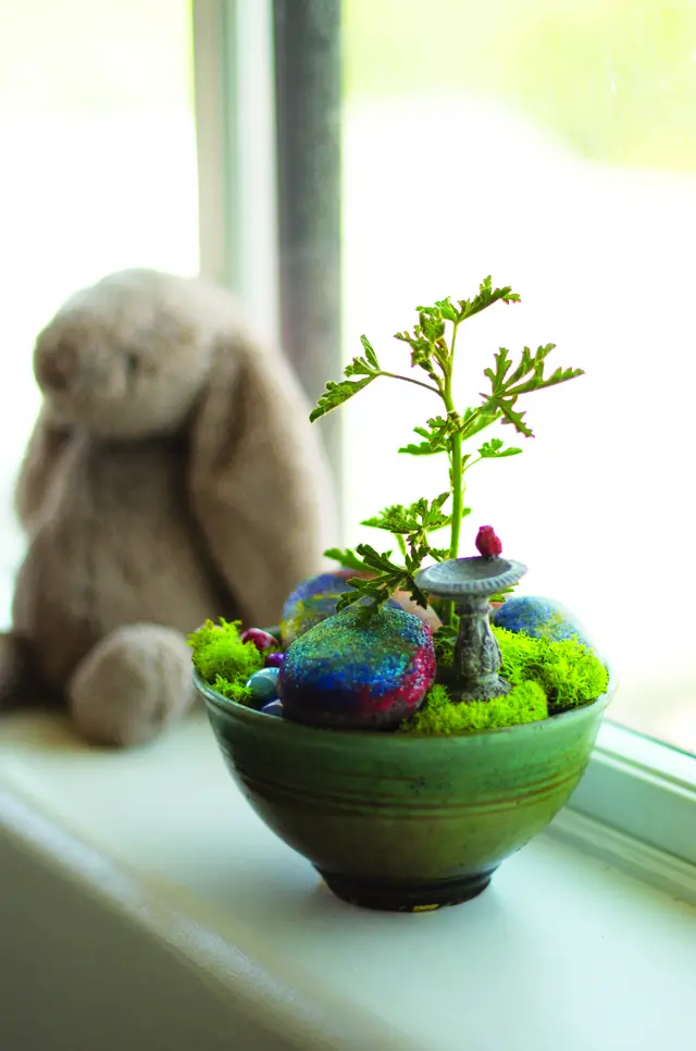 DIY Miniature Fairy Garden Ideas