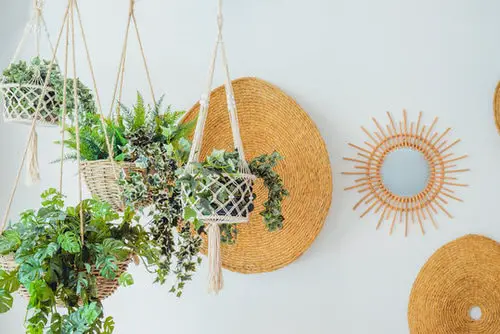 Wall Planter Macramé Ideas