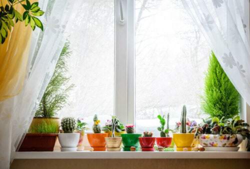 Window Garden Pictures 10