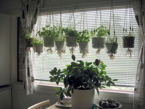 Window Garden Pictures 12