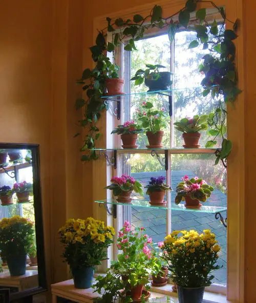 Window Garden Pictures 13