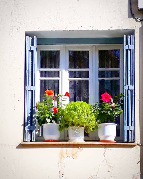 Window Garden Pictures 14
