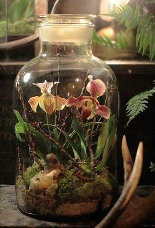  DIY Closed Terrariums 7