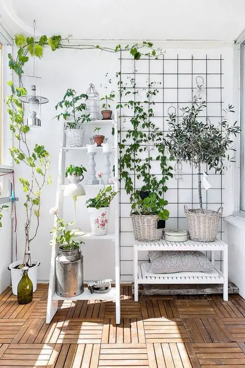 Indoor Climbers Pictures 2