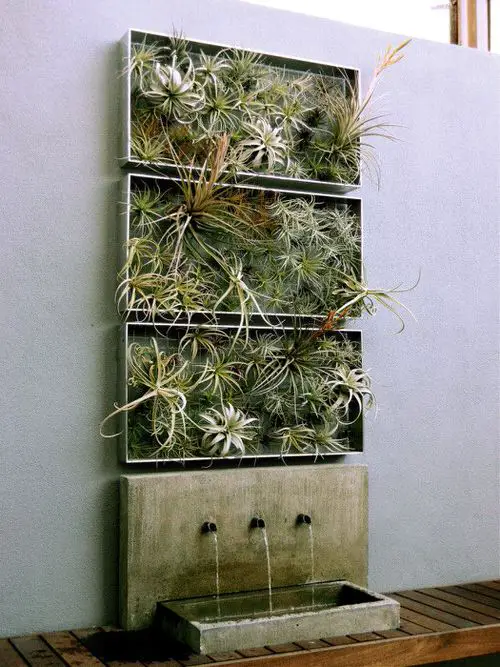 Mini Vertical Garden Ideas with Air Plants 2