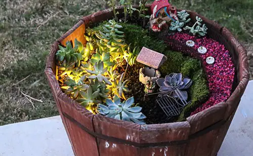 DIY Miniature Fairy Garden Ideas 23