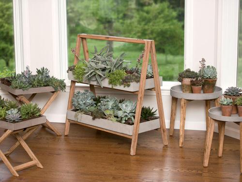 Houseplants that Look Best on Plant Stands 3