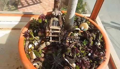 DIY Miniature Fairy Garden Ideas 25